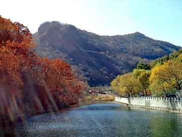 澳门天天免费精准大全，泛目录权重